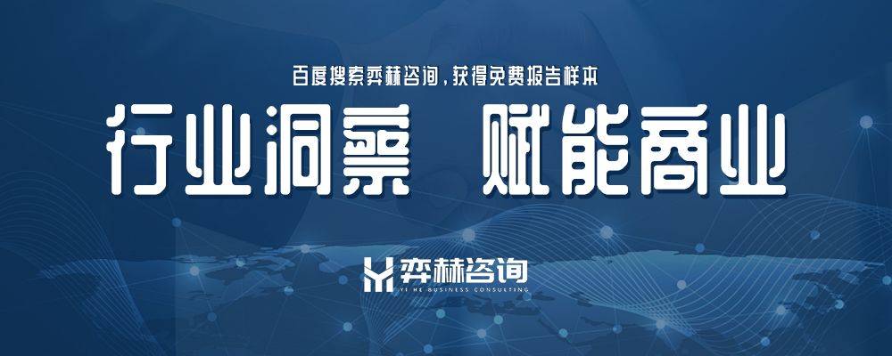 2025年懒人沙发市场AG真人直营全面分析(图2)