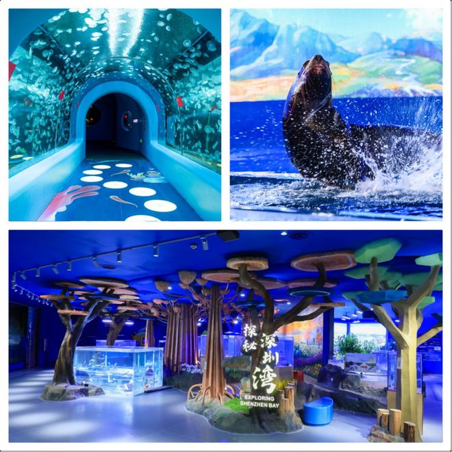 见南山：暑期两日看展度假指南AG真人旗舰厅登录当敦煌遇(图5)