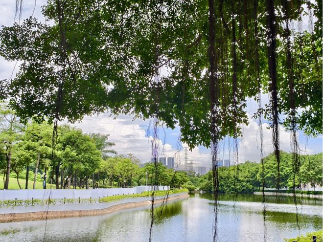 见南山：暑期两日看展度假指南AG真人旗舰厅登录当敦煌遇(图8)